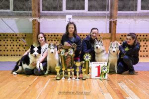 Svobodnaya Staya in Tver dog-show